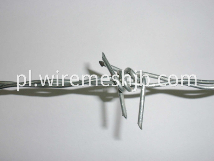 Galvanized Barbed Wire